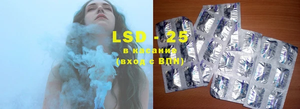 прущие грибы Михайловка