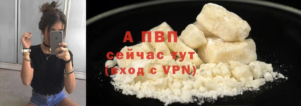 прущие грибы Михайловка