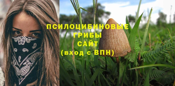 прущий лед Михайлов