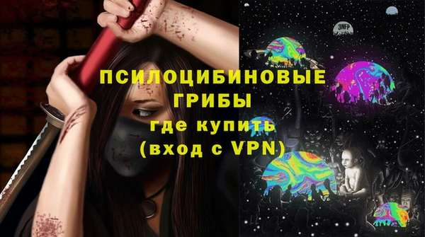 прущие грибы Михайловка