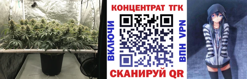 OMG   где продают наркотики  Яранск  Дистиллят ТГК THC oil 
