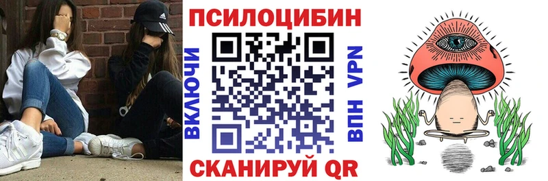 купить наркотик  Яранск  Галлюциногенные грибы Psilocybe 
